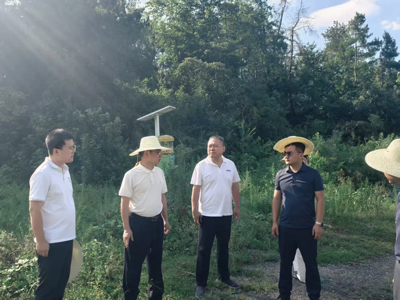 黄宇赴张家界、湘西调研乡村振兴帮扶工作