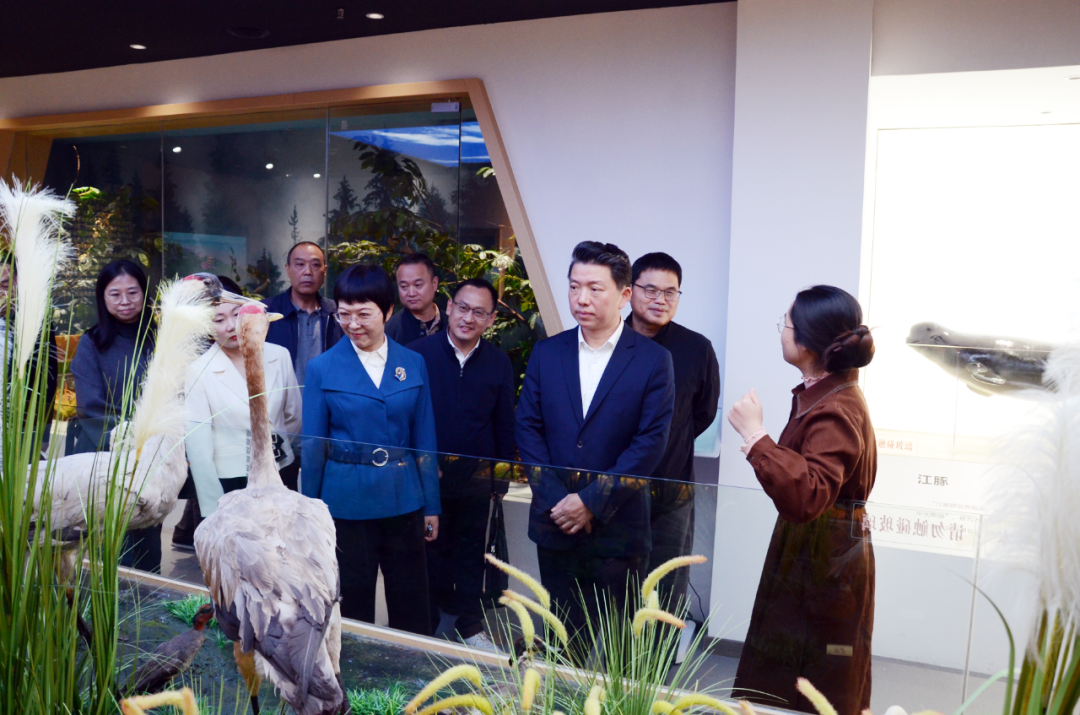 廖良辉到岳阳调研生态环境保护工作