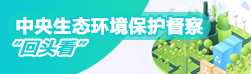中央生态环境保护督察 “回头看”
