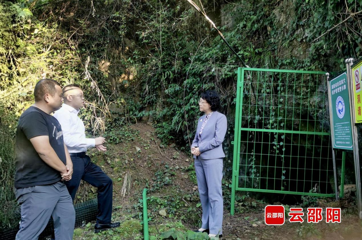 地下溶洞生态底线怎么守？湖南各市州密集部署整治