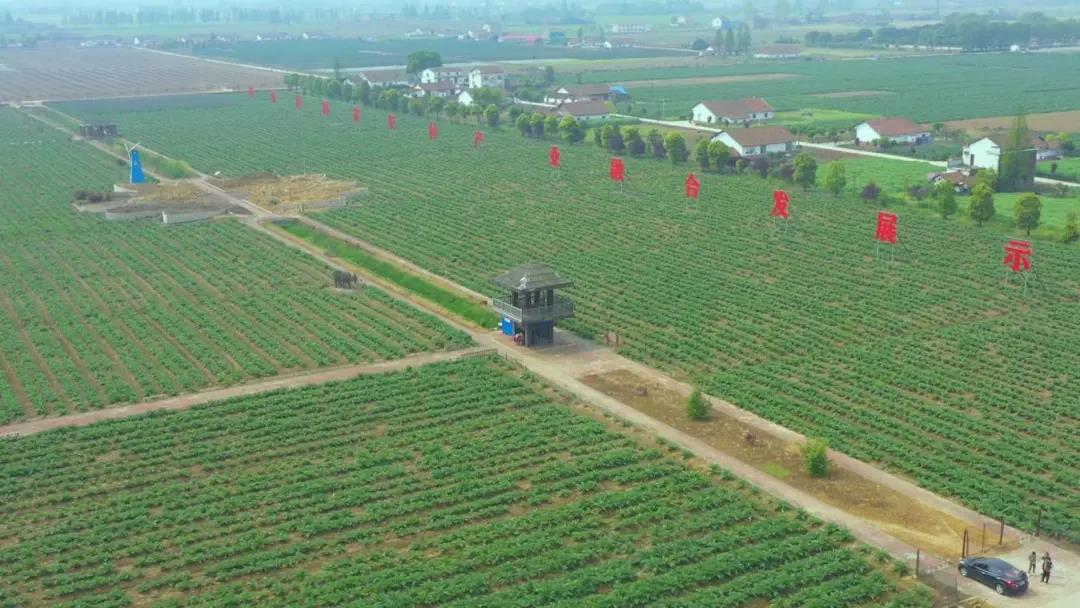 生态文明示范创建典型案例(16)——常德市西洞庭管理区