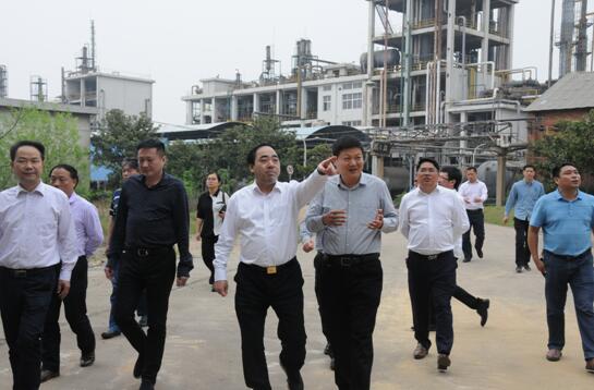 株洲:阳卫国督查中央环保督察整改,清水塘搬迁改造等工作